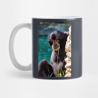 Sweet Howler Monkey Mug